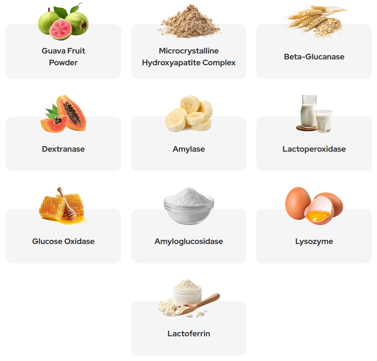 SYNADENTIX Ingredients